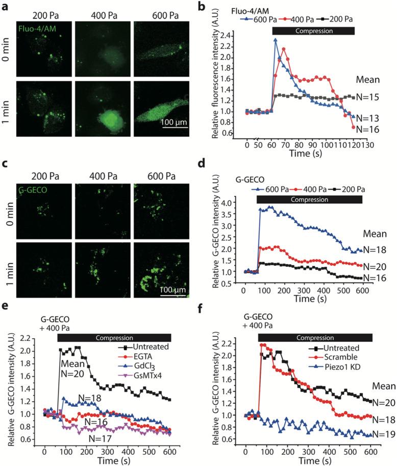 https://cdn.ncbi.nlm.nih.gov/pmc/blobs/8e58/8722159/44d85ca23dc7/12860_2021_401_Fig3_HTML.jpg