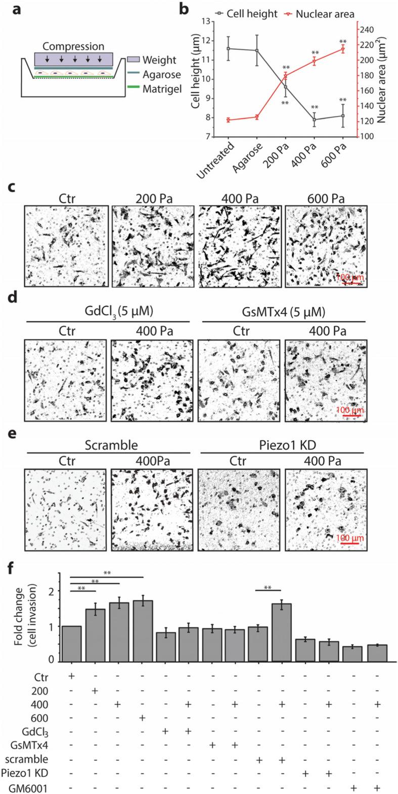 https://cdn.ncbi.nlm.nih.gov/pmc/blobs/8e58/8722159/dac52aab7b9a/12860_2021_401_Fig1_HTML.jpg