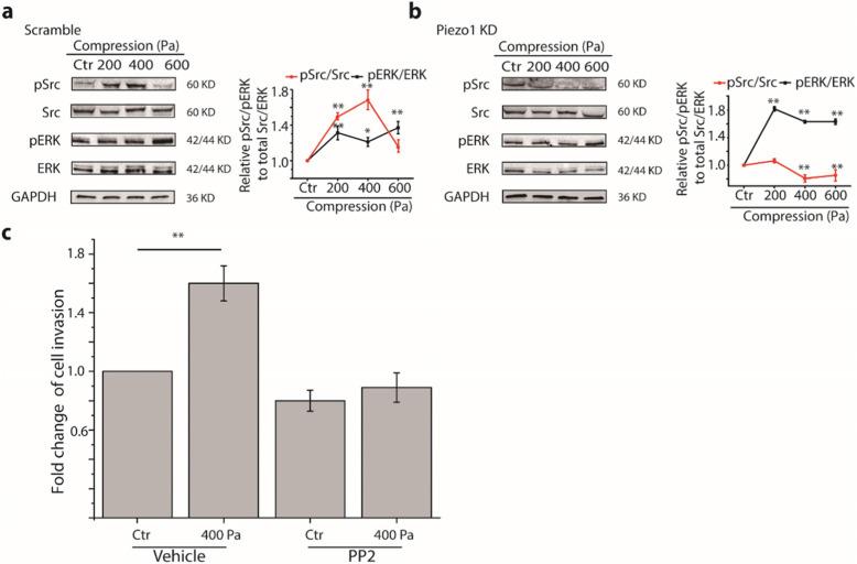 https://cdn.ncbi.nlm.nih.gov/pmc/blobs/8e58/8722159/e265f556a24b/12860_2021_401_Fig5_HTML.jpg