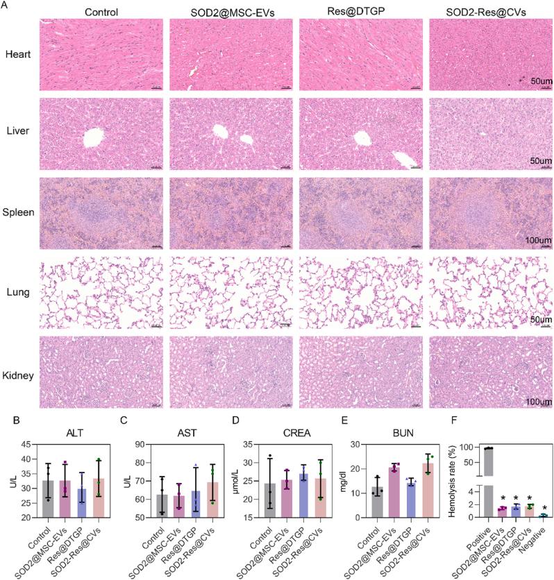 https://cdn.ncbi.nlm.nih.gov/pmc/blobs/8e5b/12398874/739dbf27ebad/gr8.jpg