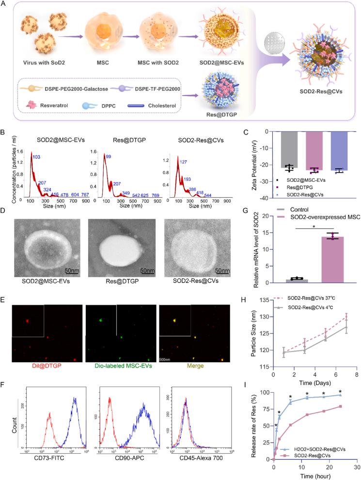https://cdn.ncbi.nlm.nih.gov/pmc/blobs/8e5b/12398874/99b7c5f37b1a/gr1.jpg