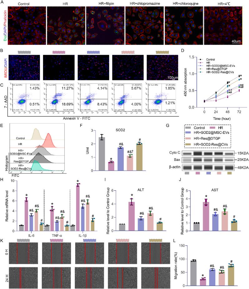 https://cdn.ncbi.nlm.nih.gov/pmc/blobs/8e5b/12398874/db870aa2e4cb/gr2.jpg