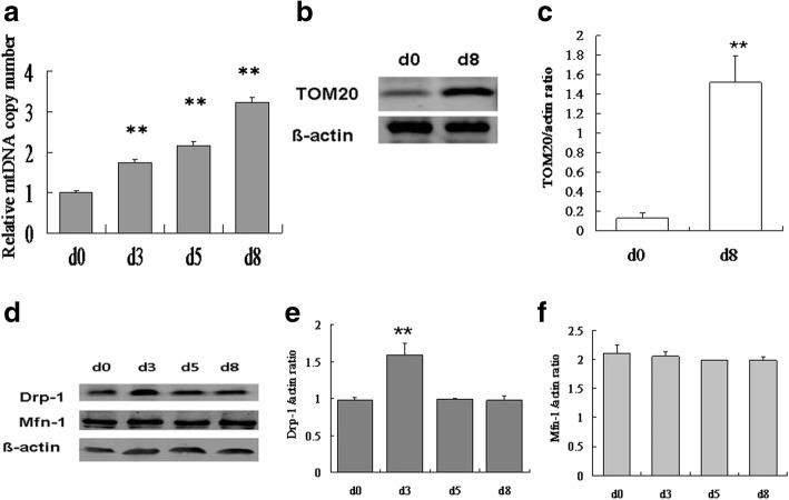 https://cdn.ncbi.nlm.nih.gov/pmc/blobs/8e5b/5987550/8bc6bff7414e/12944_2018_733_Fig5_HTML.jpg