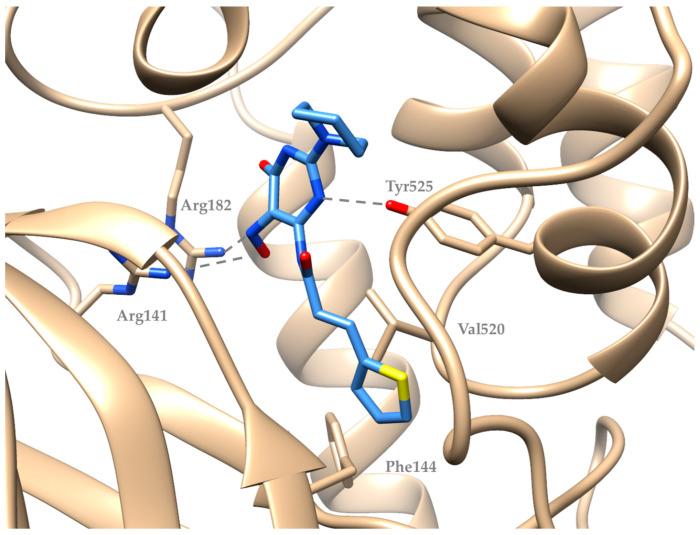 https://cdn.ncbi.nlm.nih.gov/pmc/blobs/8e5c/10974930/6ba32bc959f7/molecules-29-01189-g004.jpg
