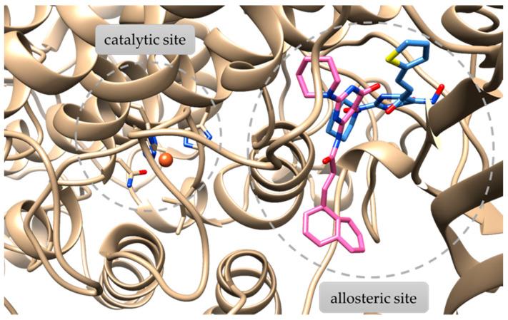 https://cdn.ncbi.nlm.nih.gov/pmc/blobs/8e5c/10974930/72984ace457f/molecules-29-01189-g006.jpg