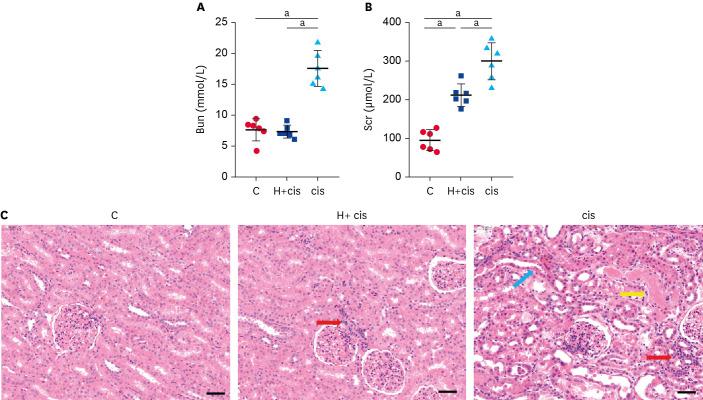 https://cdn.ncbi.nlm.nih.gov/pmc/blobs/8e5c/9523336/2f708941c7c1/jvs-23-e72-g001.jpg
