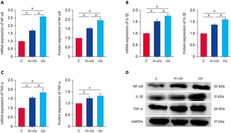 https://cdn.ncbi.nlm.nih.gov/pmc/blobs/8e5c/9523336/b2a848a9ed29/jvs-23-e72-g006.jpg