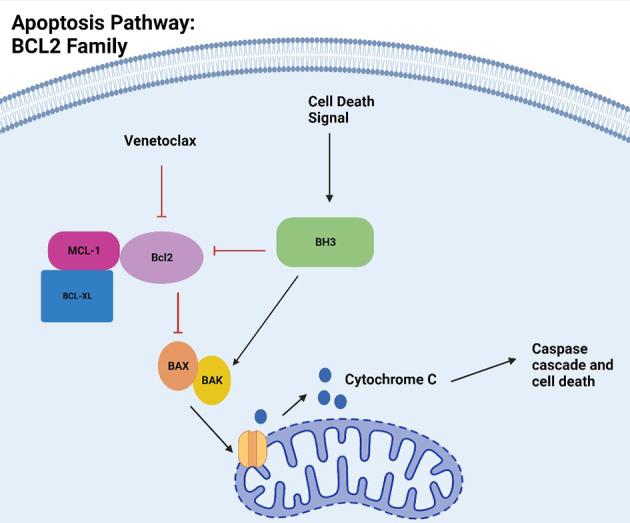 https://cdn.ncbi.nlm.nih.gov/pmc/blobs/8e5d/10804389/e6ad1628e4f9/cdr-6-4-828.fig.1.jpg