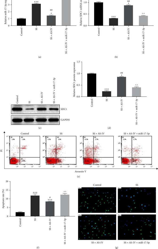 https://cdn.ncbi.nlm.nih.gov/pmc/blobs/8e5d/11407896/0264575971bc/ACP2024-2348336.006.jpg