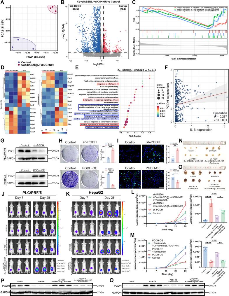 https://cdn.ncbi.nlm.nih.gov/pmc/blobs/8e5e/12032755/78b7e2bce98a/12951_2025_3353_Fig5_HTML.jpg