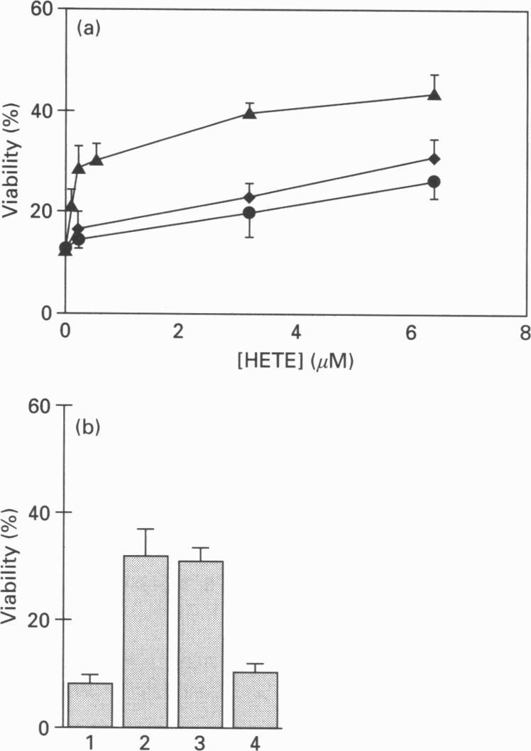 https://cdn.ncbi.nlm.nih.gov/pmc/blobs/8e60/1135864/4ce8cb7a83ee/biochemj00057-0140-a.jpg