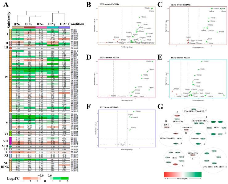 https://cdn.ncbi.nlm.nih.gov/pmc/blobs/8e63/11209095/5a31341b63b0/viruses-16-00996-g002.jpg