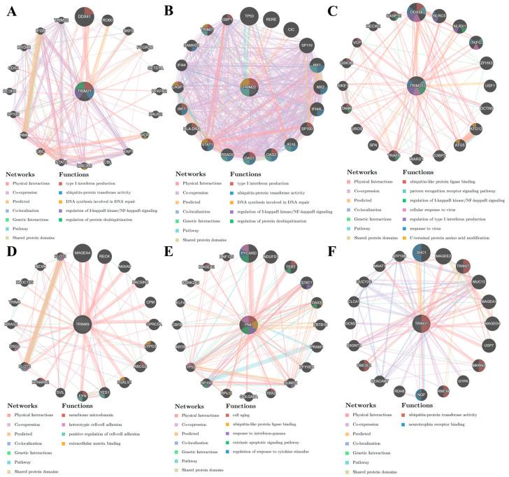 https://cdn.ncbi.nlm.nih.gov/pmc/blobs/8e63/11209095/7a33274ad848/viruses-16-00996-g004.jpg