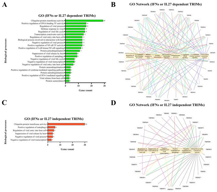 https://cdn.ncbi.nlm.nih.gov/pmc/blobs/8e63/11209095/8460787e6973/viruses-16-00996-g003.jpg