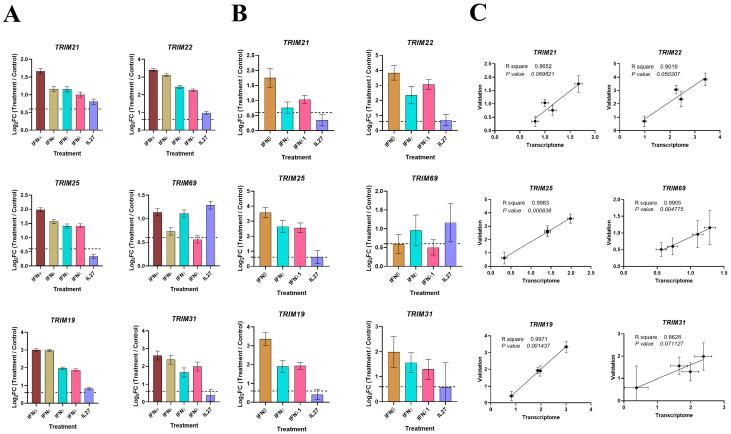 https://cdn.ncbi.nlm.nih.gov/pmc/blobs/8e63/11209095/a34936e98eed/viruses-16-00996-g007.jpg