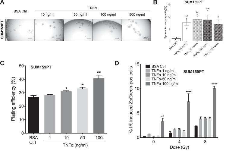 https://cdn.ncbi.nlm.nih.gov/pmc/blobs/8e65/7779542/8d085a7c61bf/gr4a.jpg