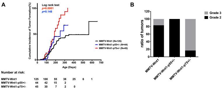 https://cdn.ncbi.nlm.nih.gov/pmc/blobs/8e65/7779542/a425d934e461/gr2a.jpg