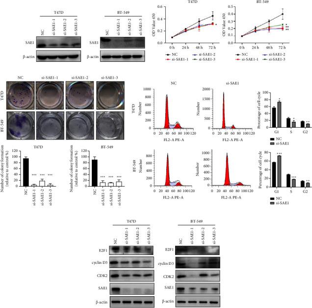 https://cdn.ncbi.nlm.nih.gov/pmc/blobs/8e67/11227943/5e0459fbda43/TBJ2024-2981722.003.jpg