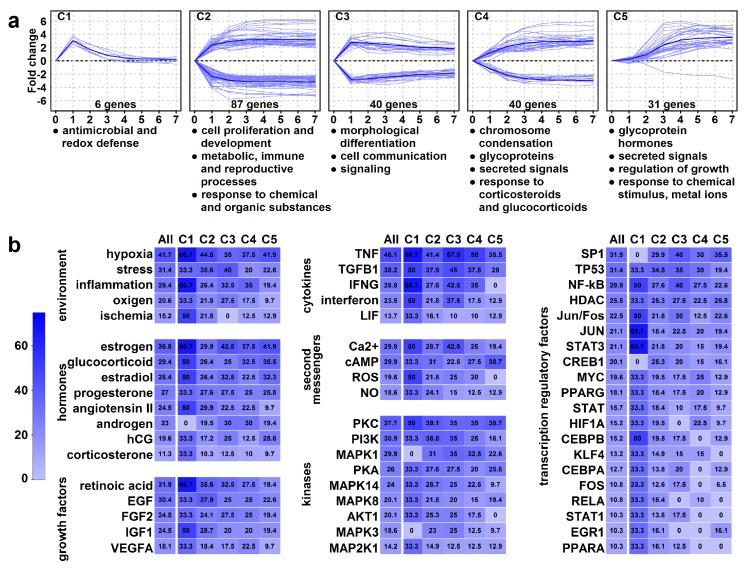 https://cdn.ncbi.nlm.nih.gov/pmc/blobs/8e67/7013556/6a263387387c/ijms-21-00628-g007.jpg