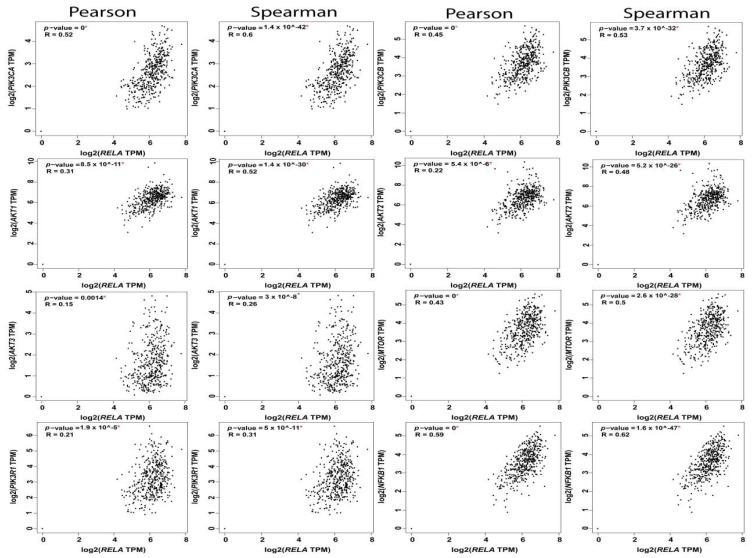https://cdn.ncbi.nlm.nih.gov/pmc/blobs/8e69/6679095/50dc13b5403d/cancers-11-00949-g004.jpg