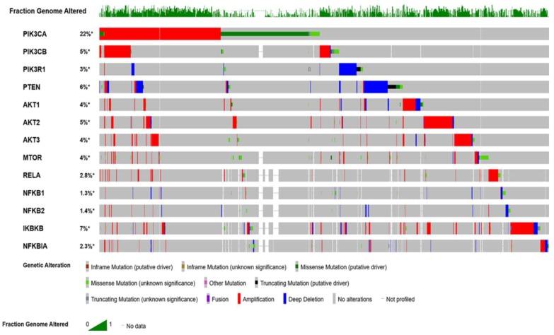 https://cdn.ncbi.nlm.nih.gov/pmc/blobs/8e69/6679095/a86a1dcadbe2/cancers-11-00949-g001.jpg