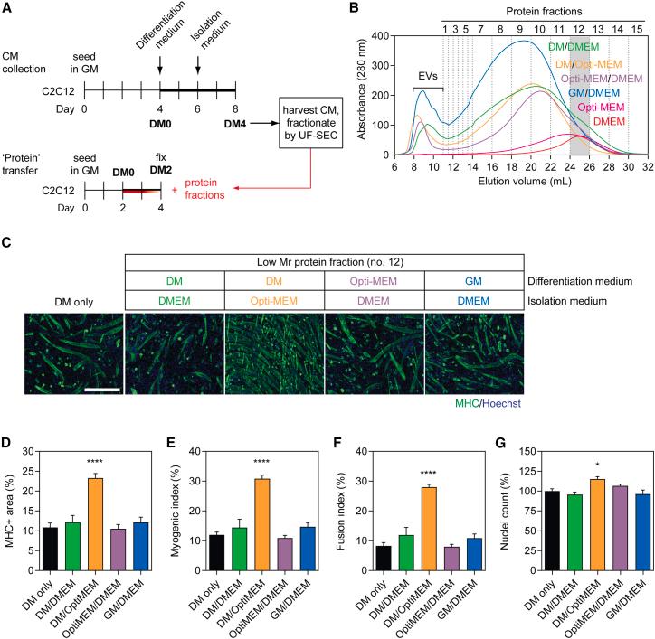 https://cdn.ncbi.nlm.nih.gov/pmc/blobs/8e6b/10432918/719cb70e2f52/gr5.jpg