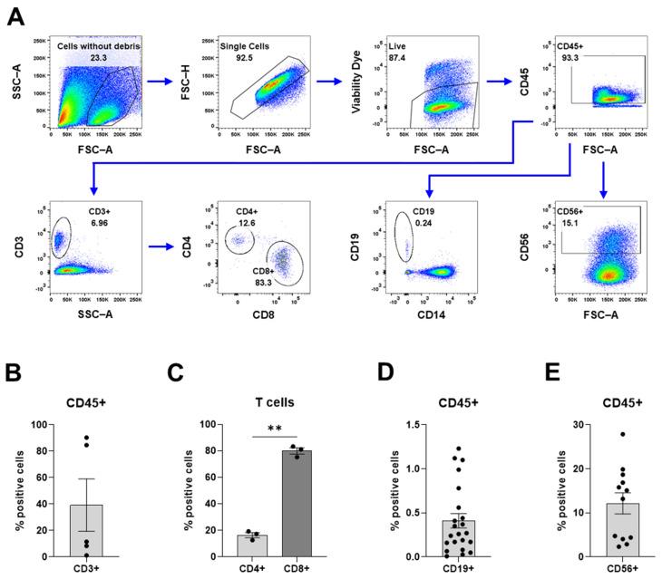 https://cdn.ncbi.nlm.nih.gov/pmc/blobs/8e6b/11640484/ac72076c681e/cancers-16-03942-g005.jpg
