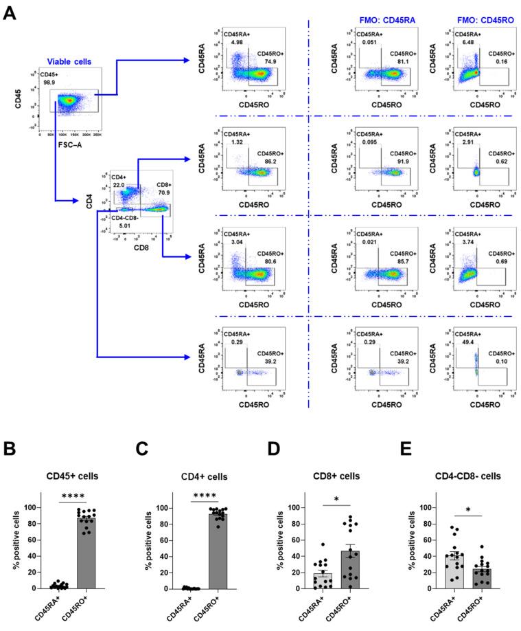 https://cdn.ncbi.nlm.nih.gov/pmc/blobs/8e6b/11640484/ee242658466a/cancers-16-03942-g006.jpg