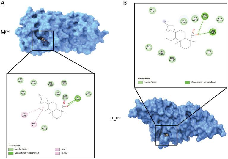 https://cdn.ncbi.nlm.nih.gov/pmc/blobs/8e6b/12098342/35e6288f25e8/fmicb-16-1540934-g008.jpg