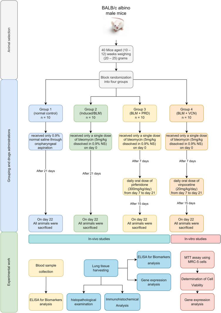 https://cdn.ncbi.nlm.nih.gov/pmc/blobs/8e6d/11096407/4cd5f010e282/41598_2024_61269_Fig1_HTML.jpg