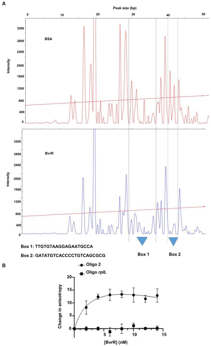 https://cdn.ncbi.nlm.nih.gov/pmc/blobs/8e6e/10538546/42b288394b72/fmicb-14-1241143-g005.jpg