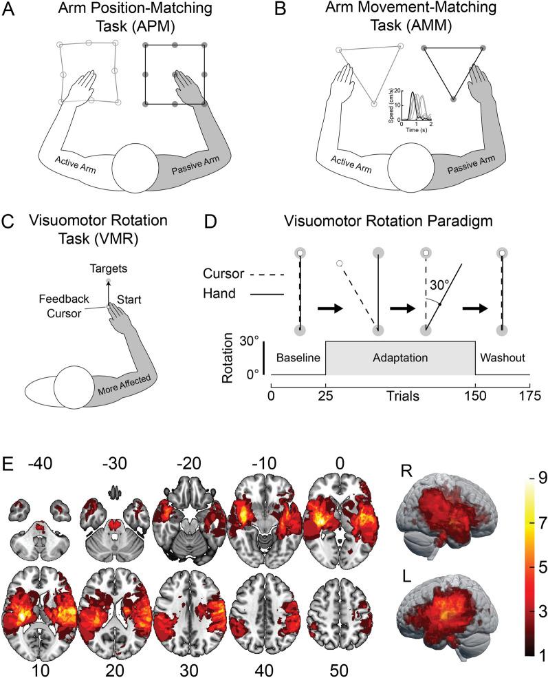 https://cdn.ncbi.nlm.nih.gov/pmc/blobs/8e6f/11102216/ec120f99078d/12984_2024_1360_Fig1_HTML.jpg