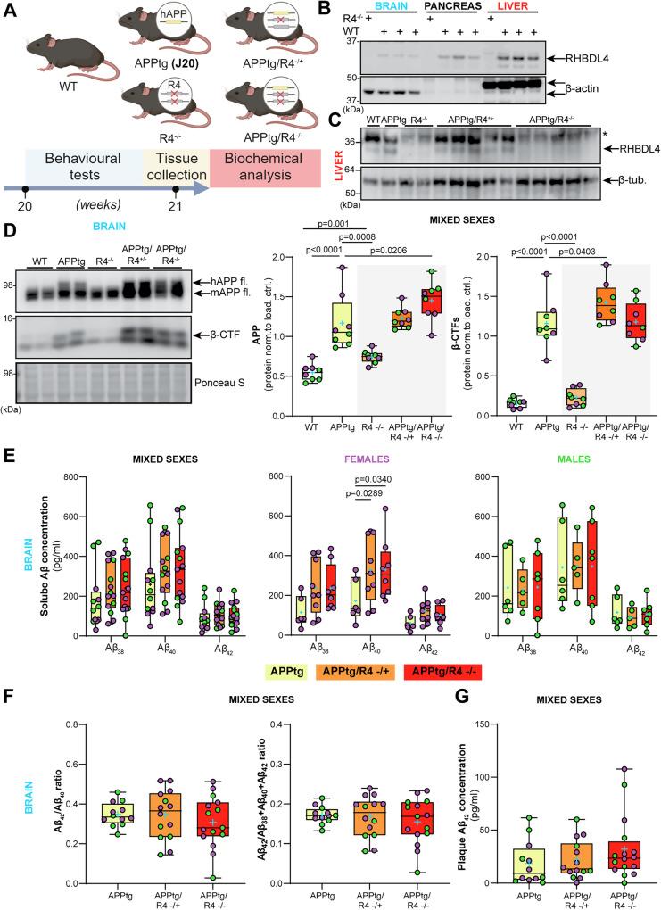 https://cdn.ncbi.nlm.nih.gov/pmc/blobs/8e70/11993729/0d7202df9582/41419_2025_7579_Fig2_HTML.jpg