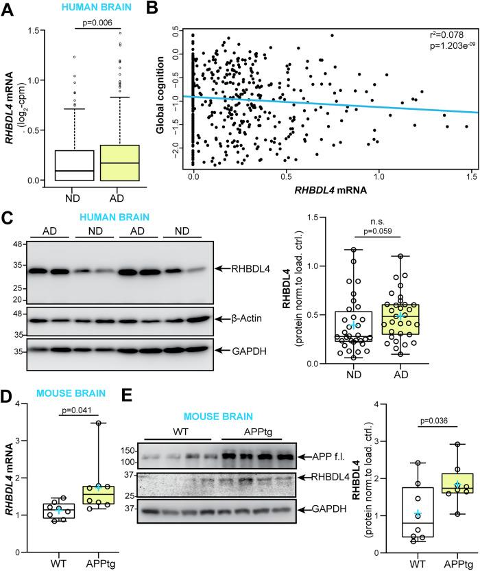 https://cdn.ncbi.nlm.nih.gov/pmc/blobs/8e70/11993729/3448c13ed4bc/41419_2025_7579_Fig1_HTML.jpg
