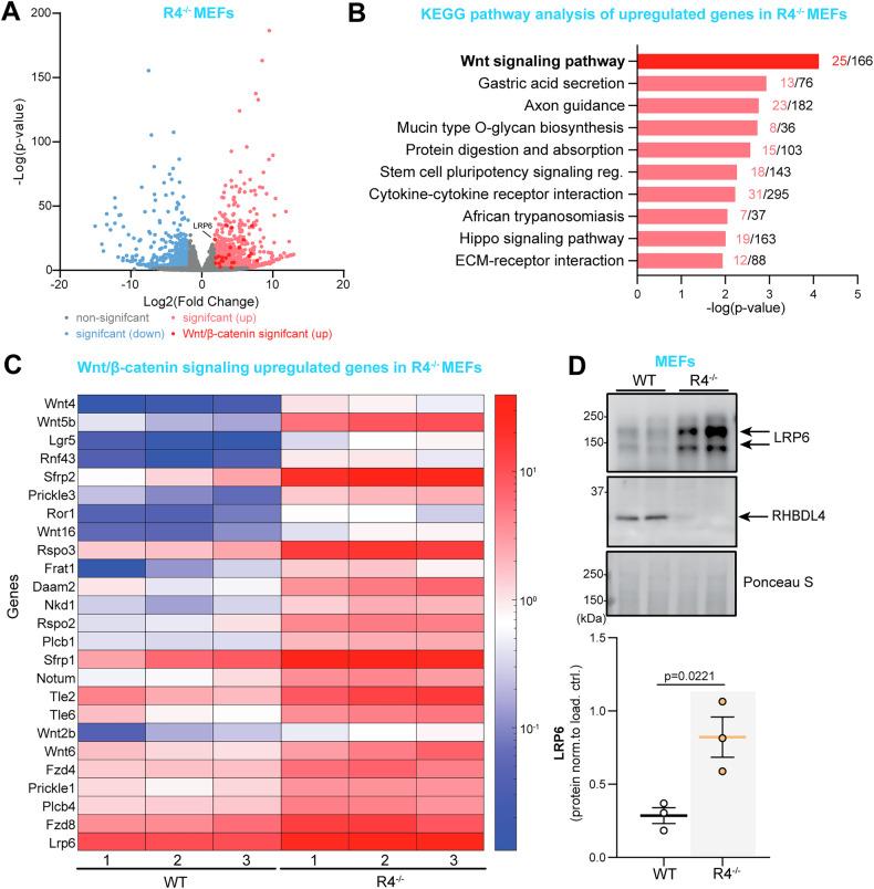 https://cdn.ncbi.nlm.nih.gov/pmc/blobs/8e70/11993729/a272412f6f31/41419_2025_7579_Fig4_HTML.jpg