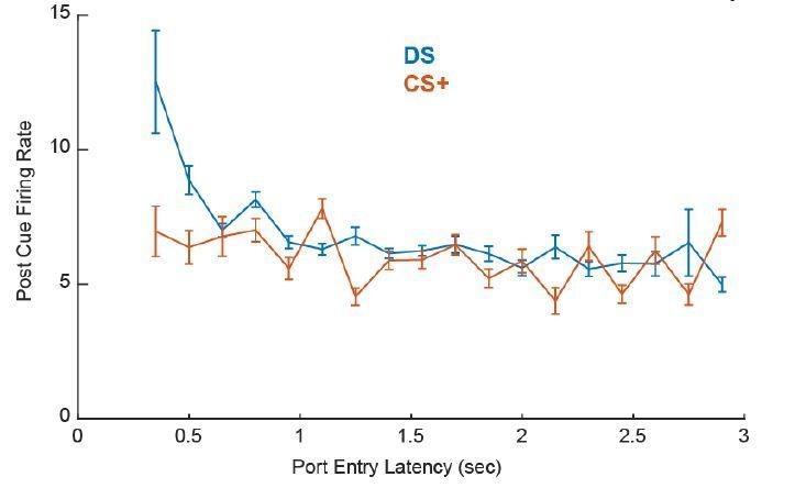 https://cdn.ncbi.nlm.nih.gov/pmc/blobs/8e70/5864276/44ce8564e262/elife-33107-resp-fig1.jpg