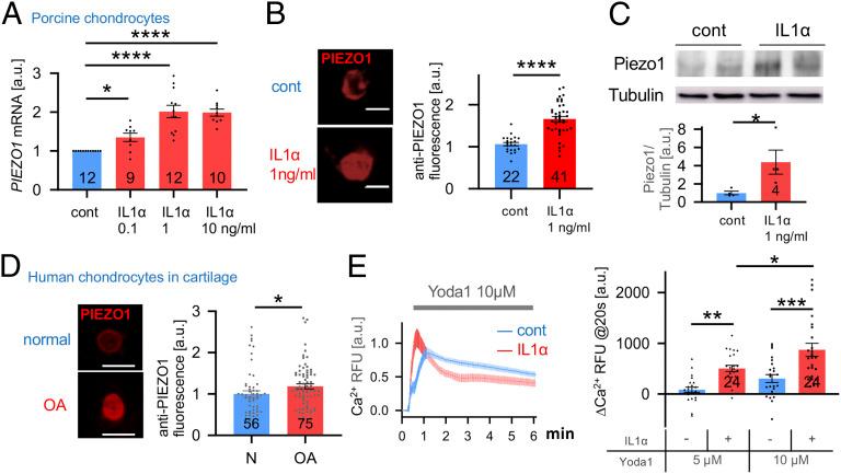 https://cdn.ncbi.nlm.nih.gov/pmc/blobs/8e70/8020656/1d6718e98992/pnas.2001611118fig01.jpg