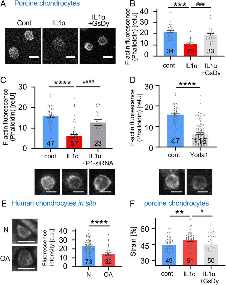 https://cdn.ncbi.nlm.nih.gov/pmc/blobs/8e70/8020656/da61ba3e8dbd/pnas.2001611118fig03.jpg