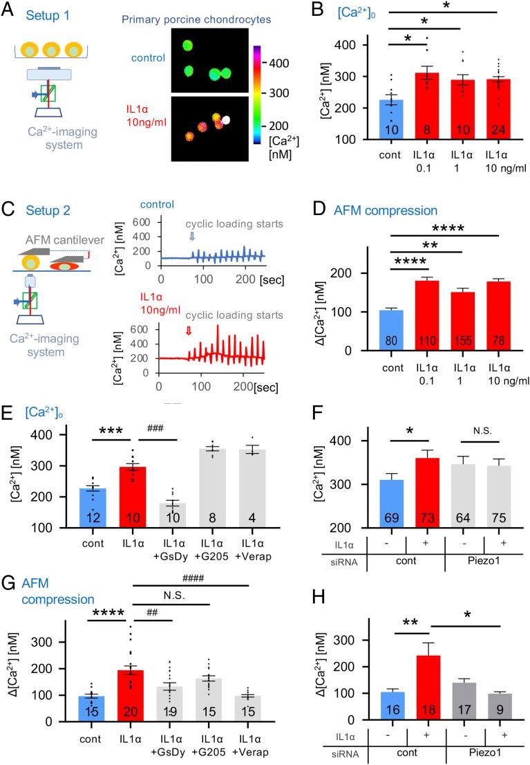 https://cdn.ncbi.nlm.nih.gov/pmc/blobs/8e70/8020656/ff118ff33986/pnas.2001611118fig02.jpg
