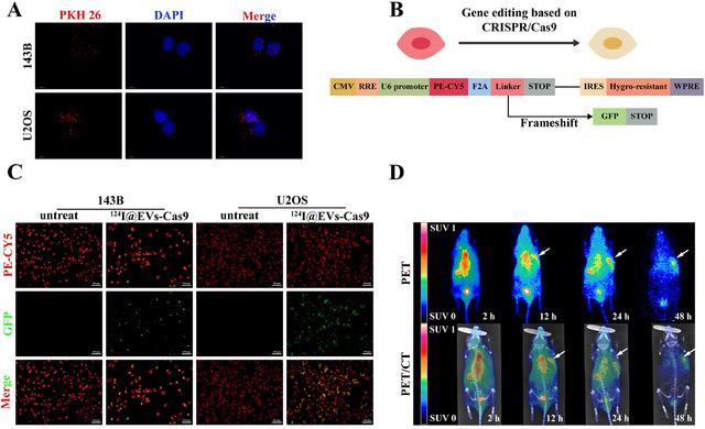 https://cdn.ncbi.nlm.nih.gov/pmc/blobs/8e74/12269339/8d9154735a7a/JEV2-14-e70130-g002.jpg