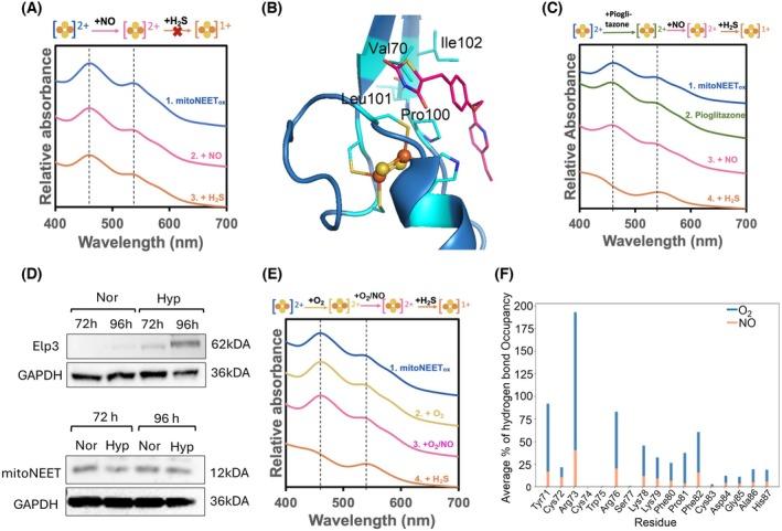 https://cdn.ncbi.nlm.nih.gov/pmc/blobs/8e75/11995679/0b264eeb942f/FEB2-599-952-g006.jpg