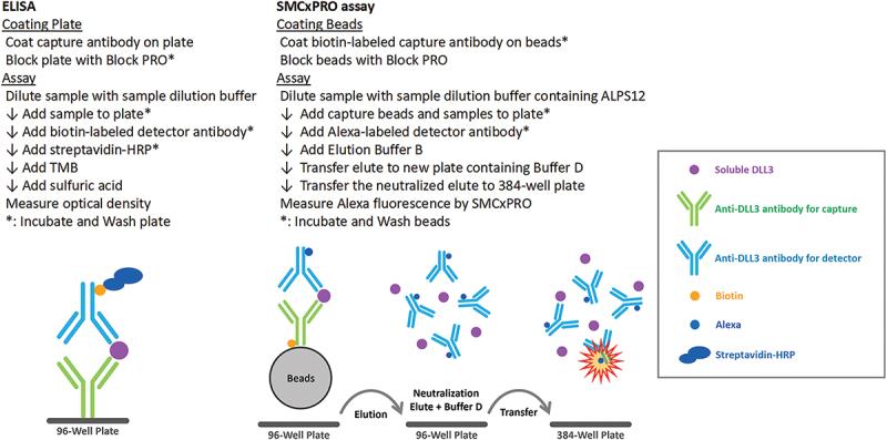https://cdn.ncbi.nlm.nih.gov/pmc/blobs/8e76/12203847/dee655d70f36/IBIO_A_2518047_F0001_OC.jpg