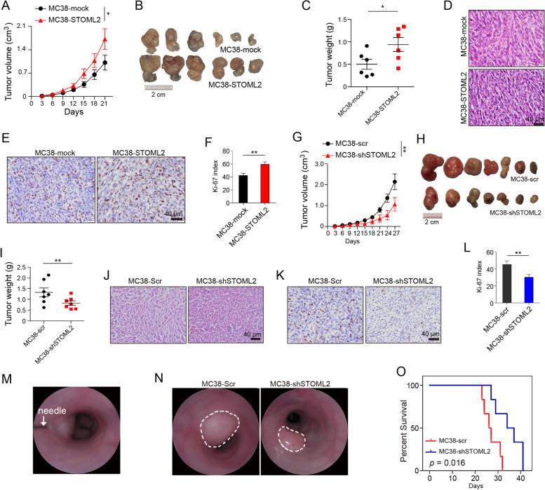 https://cdn.ncbi.nlm.nih.gov/pmc/blobs/8e76/8591804/4533e92d69a7/13046_2021_2116_Fig3_HTML.jpg