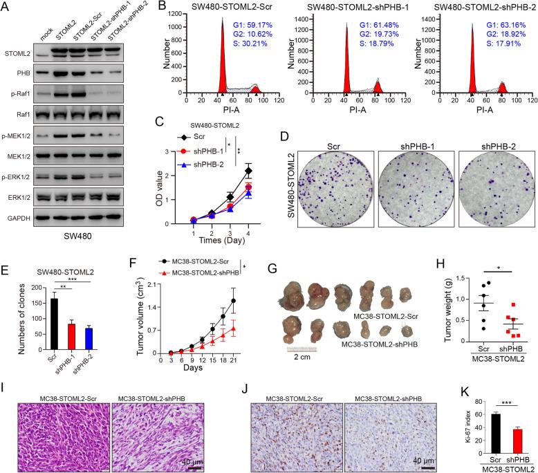 https://cdn.ncbi.nlm.nih.gov/pmc/blobs/8e76/8591804/7c8d3402654f/13046_2021_2116_Fig5_HTML.jpg