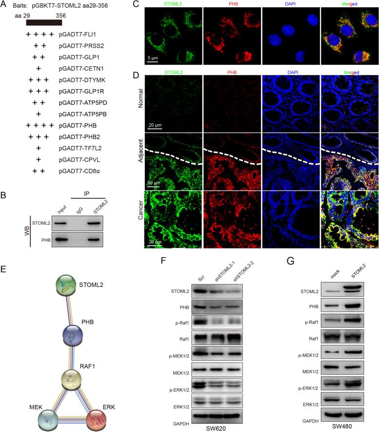 https://cdn.ncbi.nlm.nih.gov/pmc/blobs/8e76/8591804/d735bca07ecd/13046_2021_2116_Fig4_HTML.jpg