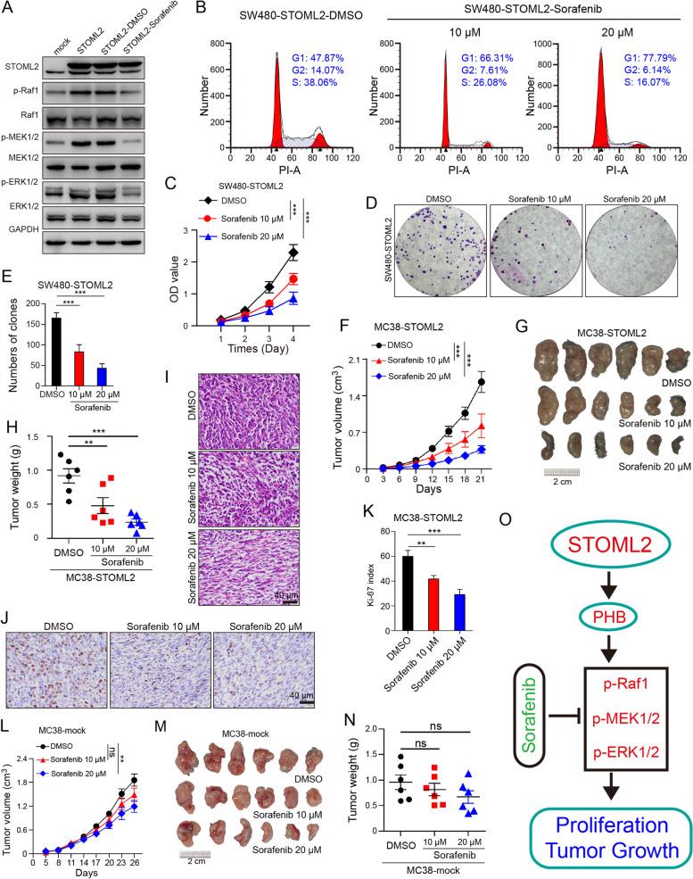 https://cdn.ncbi.nlm.nih.gov/pmc/blobs/8e76/8591804/deff3db0ab97/13046_2021_2116_Fig6_HTML.jpg