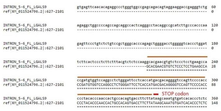 https://cdn.ncbi.nlm.nih.gov/pmc/blobs/8e78/8304048/a53a6fc09d96/cancers-13-03629-g007.jpg