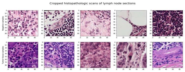 https://cdn.ncbi.nlm.nih.gov/pmc/blobs/8e7a/9025766/42670d945c8e/sensors-22-02988-g003.jpg