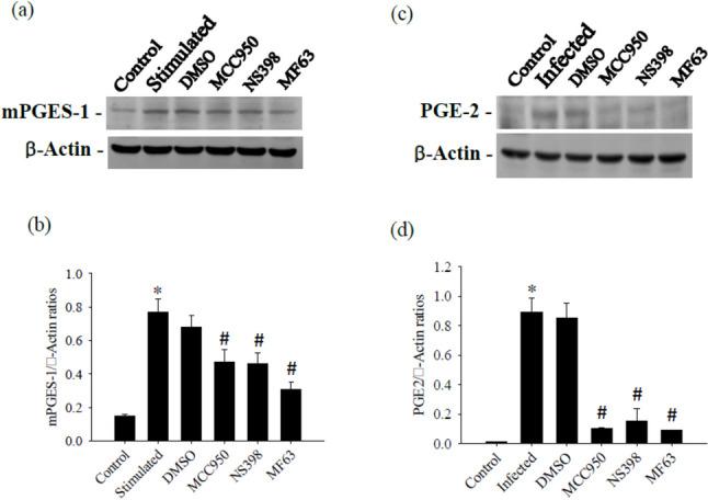 https://cdn.ncbi.nlm.nih.gov/pmc/blobs/8e7c/11753341/5d4bf0cb9ada/436_2025_8454_Fig6_HTML.jpg