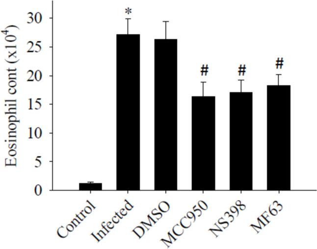 https://cdn.ncbi.nlm.nih.gov/pmc/blobs/8e7c/11753341/6ccc2a3c459a/436_2025_8454_Fig9_HTML.jpg